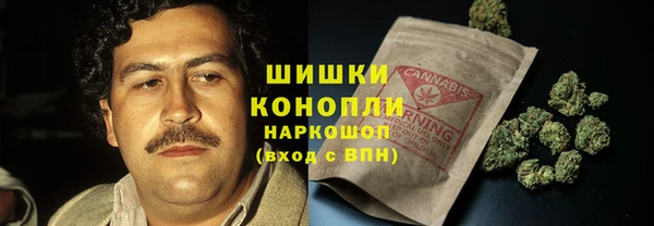 соль ск Арсеньев