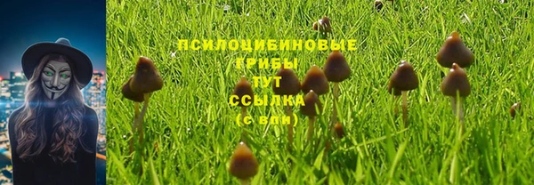 бутират Аркадак