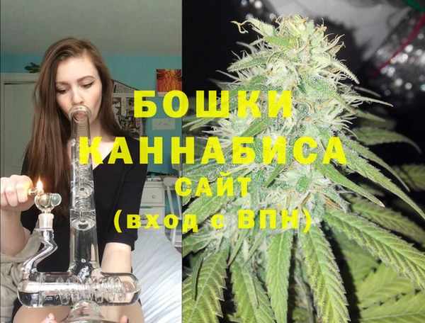 соль ск Арсеньев
