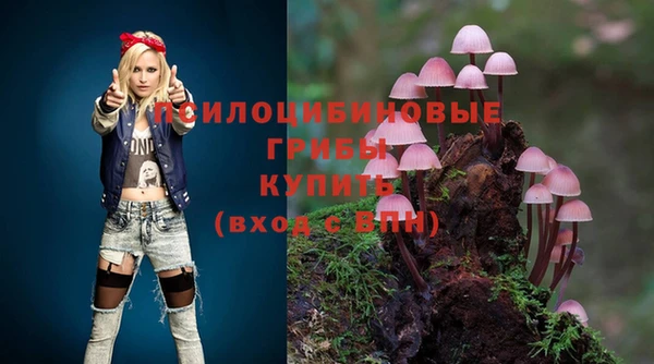 соль ск Арсеньев