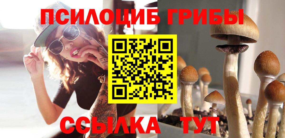 Псилоцибиновые грибы GOLDEN TEACHER Балабаново